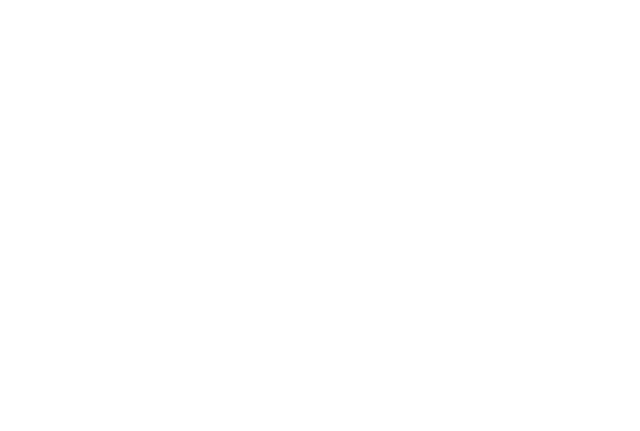 cons_a1